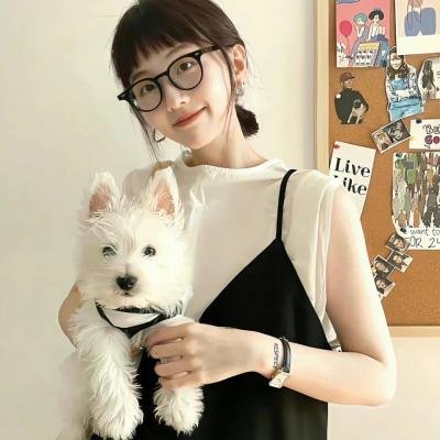 洗衣房的奇妙世界